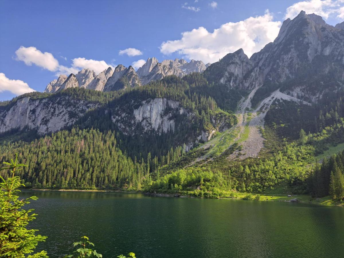 Gasthof Waldwirt Rußbach am Paß Gschütt Zewnętrze zdjęcie