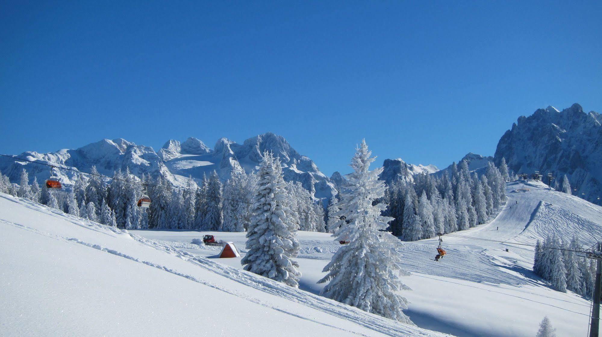 Gasthof Waldwirt Rußbach am Paß Gschütt Zewnętrze zdjęcie
